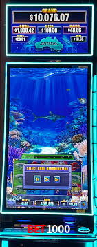 Bônus Diários Bet1000